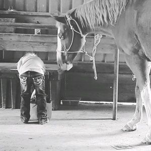 Meet your Posher, Hunter